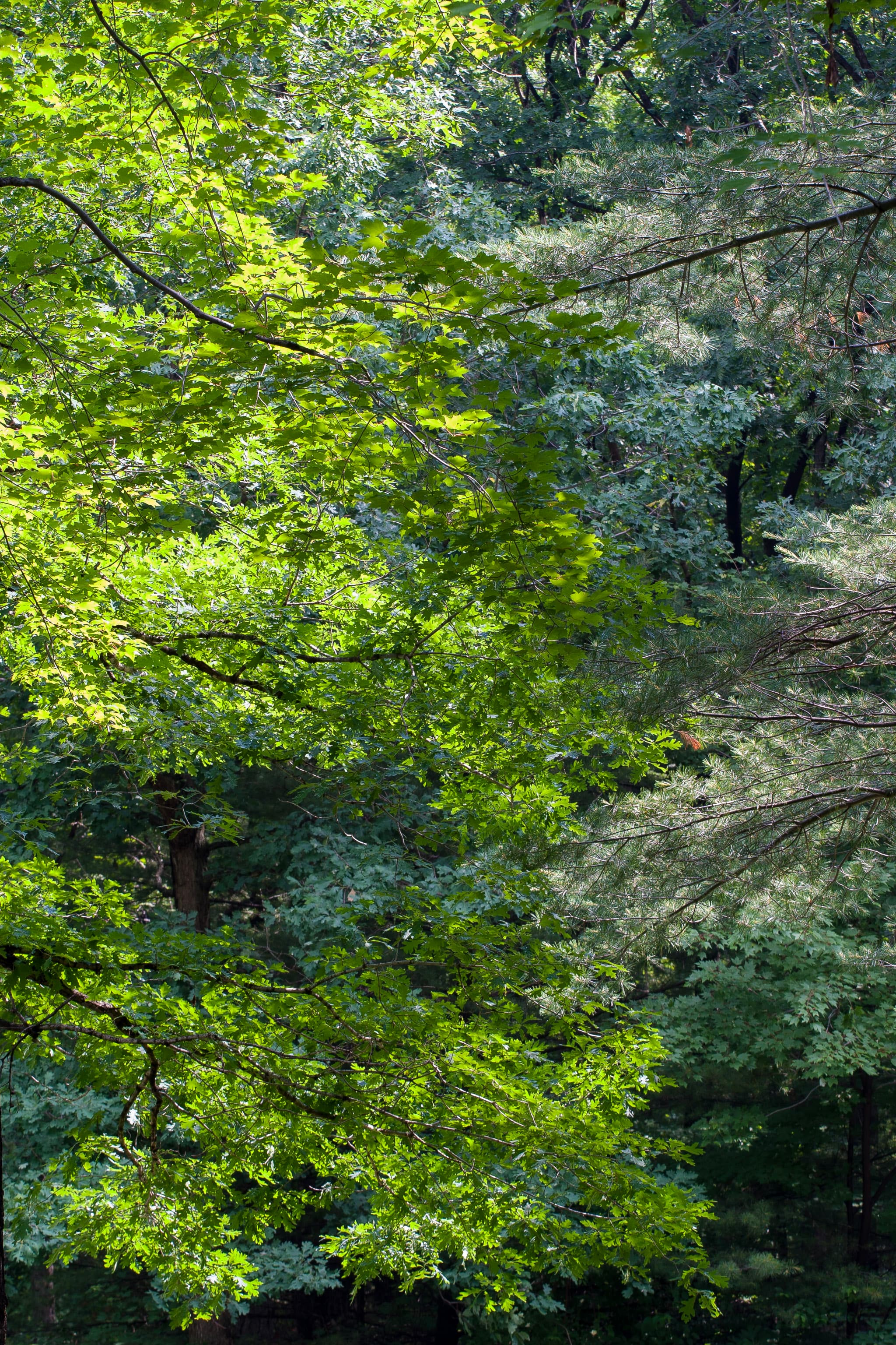 Panorama of winding road around mountain, frame 2